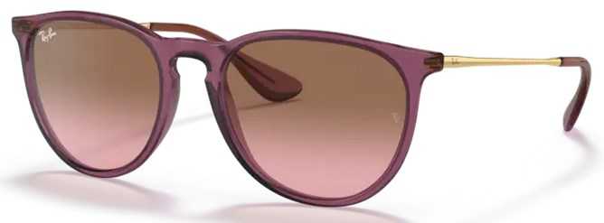 Ray ban 4171 erika sales