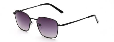 Sonnenbrillen Herren LEVEL LE S2620 NOIR 53/19