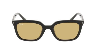 Zonnebrillen  nieuwtjes RAY-BAN RB 4439D 901/73 54/21