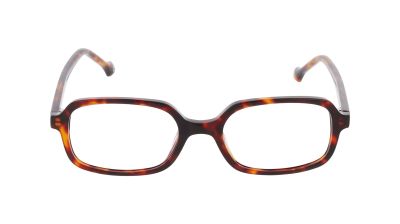 Brillen LEVEL LE 2602 GOLDEN ECAI 50/18