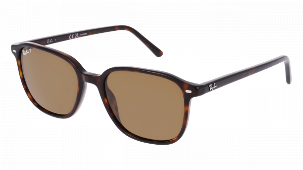 Gafas de sol RAY-BAN RB 2193 902/57 Leonard 53/18 Unisex Ecaille ...