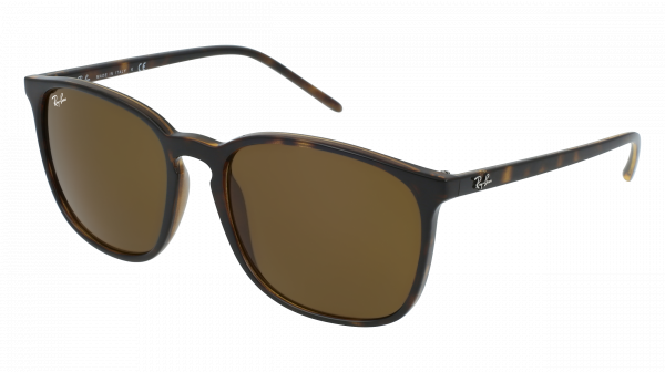 Sunglasses Ray-Ban RB 4387 (601/71) Man | Free Shipping Shop Online