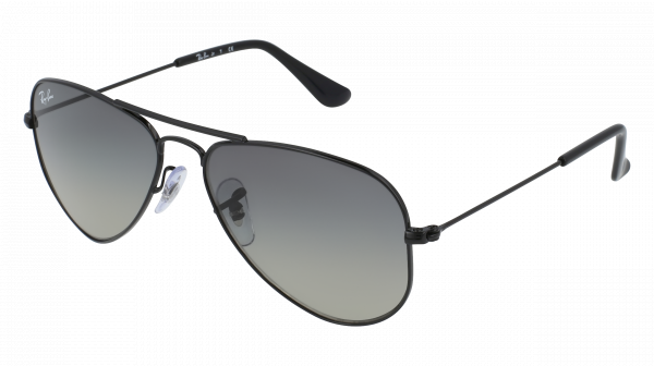 Ray 2024 ban 9506s